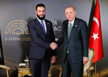 لقاء الشرع وأردوغان في أنطاليا: قراءة تحليلية لمسار التفاهمات السورية-التركية المحتملة في ظل حراك دبلوماسي إقليمي